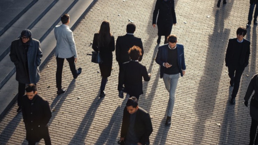 Boletín TCu - Noviembre 2025