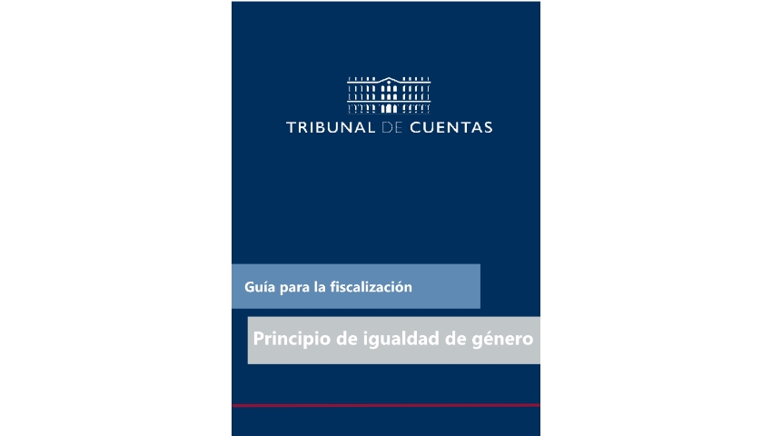 /contexto/export/sites/portal/.galleries/Documentos-oficiales/Fiscalizacion/Normas-manuales-y-guias/TCu_guia-Objetivo-Igualdad-Genero.pdf