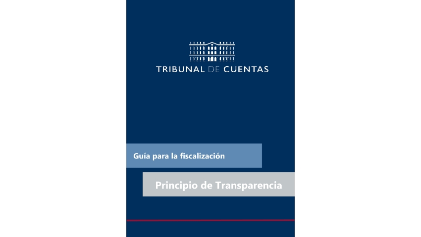/contexto/export/sites/portal/.galleries/Documentos-oficiales/Fiscalizacion/Normas-manuales-y-guias/TCu_guia-Objetivo-Transparencia.pdf